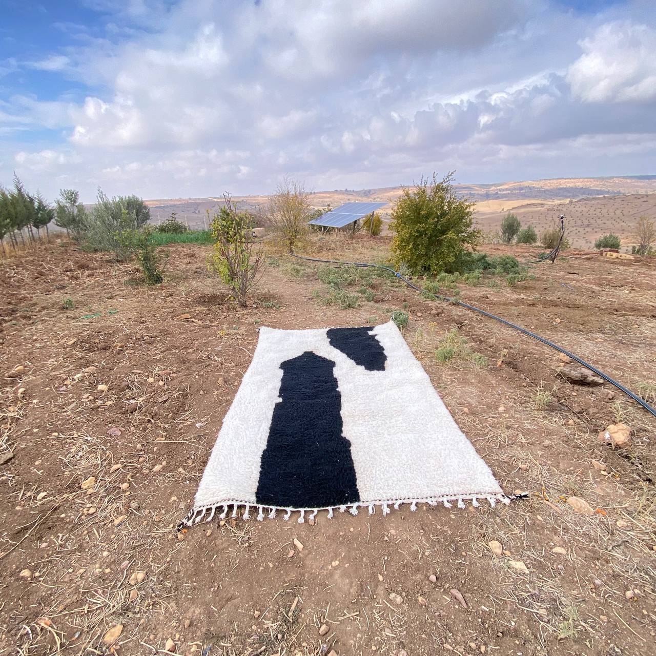 Beni Ourain soft wool |customize your size| moroccan rug
