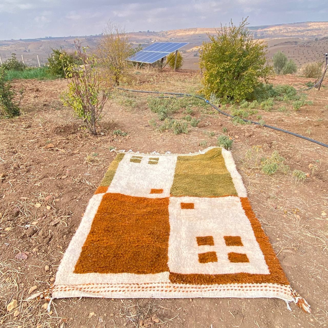 bejaad rug soft wool |customize your size| moroccan rug