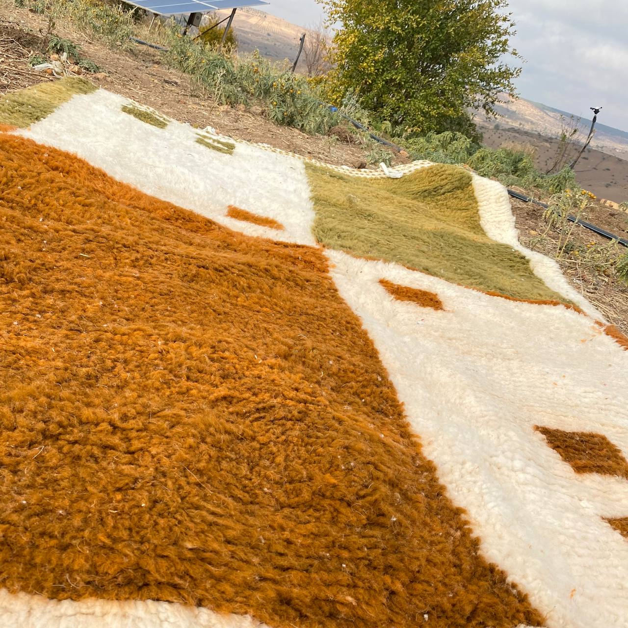 bejaad rug soft wool |customize your size| moroccan rug