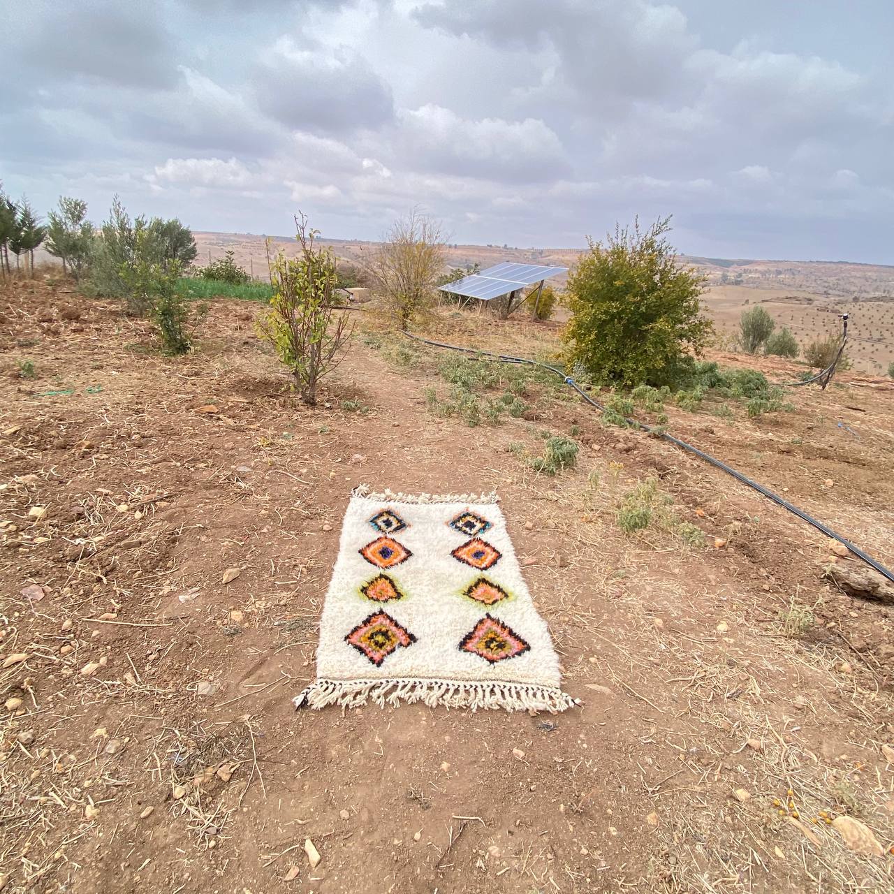 azilal soft wool |customize your size| moroccan rug