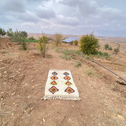 azilal soft wool |customize your size| moroccan rug